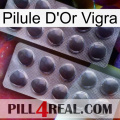 Vigra Gold Pill 31